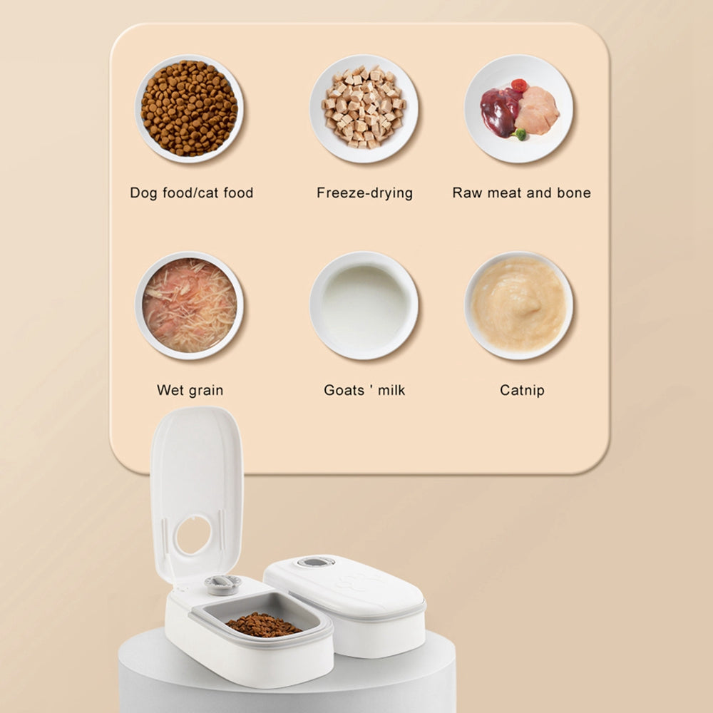 Smart Automatic Pet Feeder Set