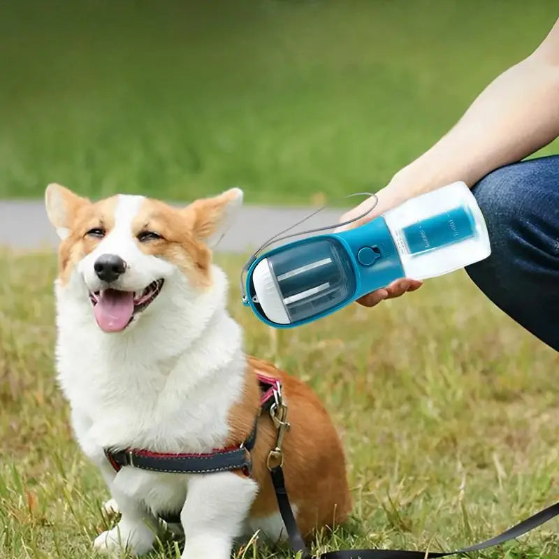 3-in-1 Dog Travel Water Bottle