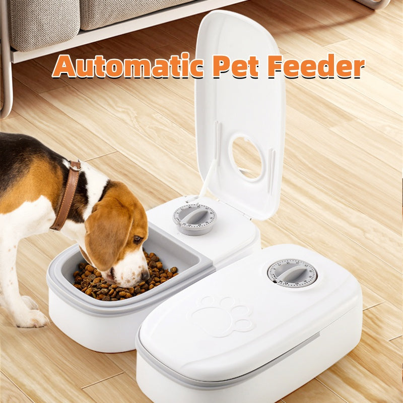 Smart Automatic Pet Feeder Set