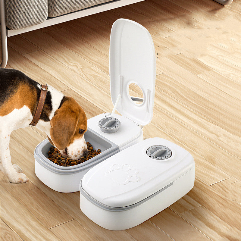 Smart automatic pet feeder set whisper-quiet motor safe for anxious pets | Paawvital